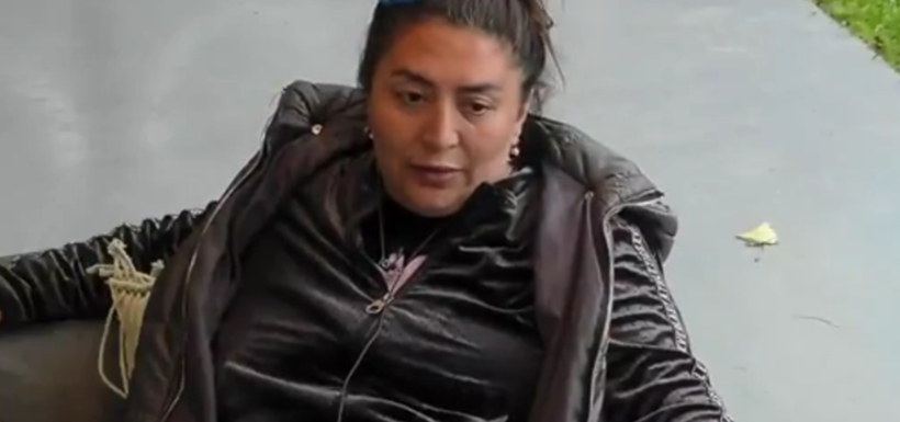 Pincoya, Gran hermano