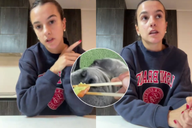 Mamá de influencer criticada por darle wasabi a su perro salió al paso