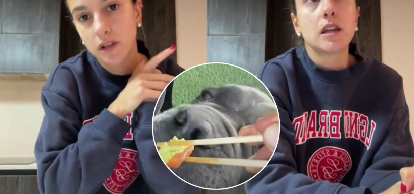 Mamá de influencer criticada por darle wasabi a su perro salió al paso